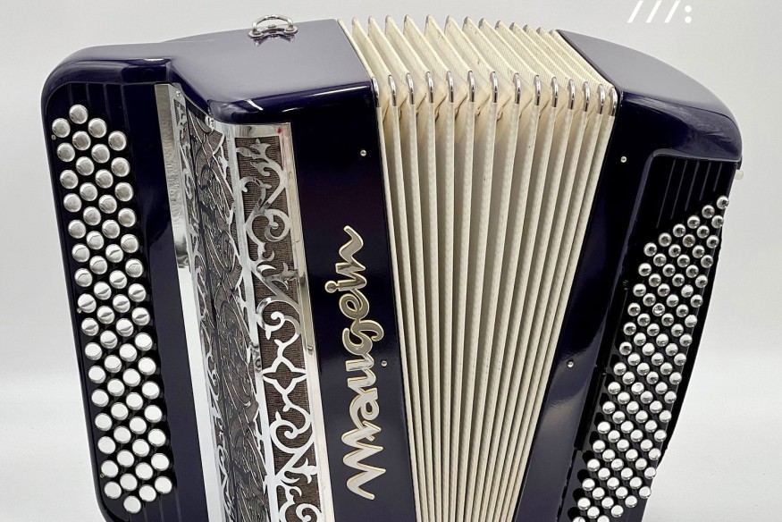 Yves à l'accordéon